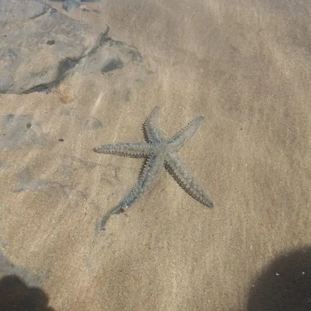 Caravia, El Cachucho * Duesos